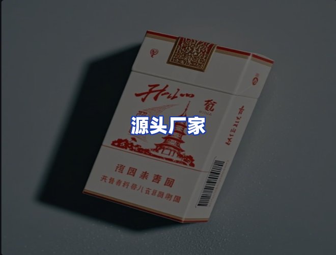 专业团队